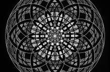 Manifestation